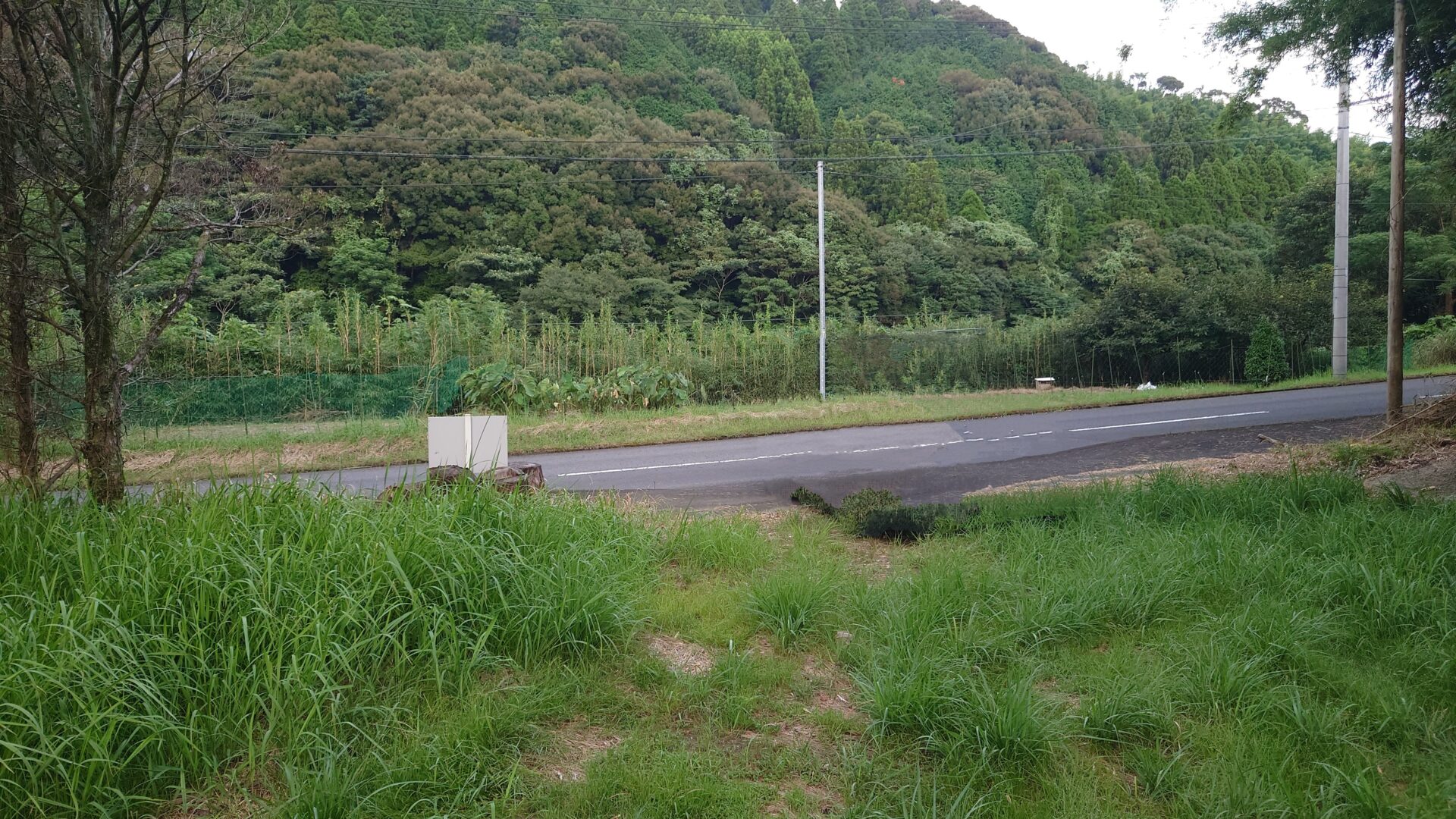 入口2