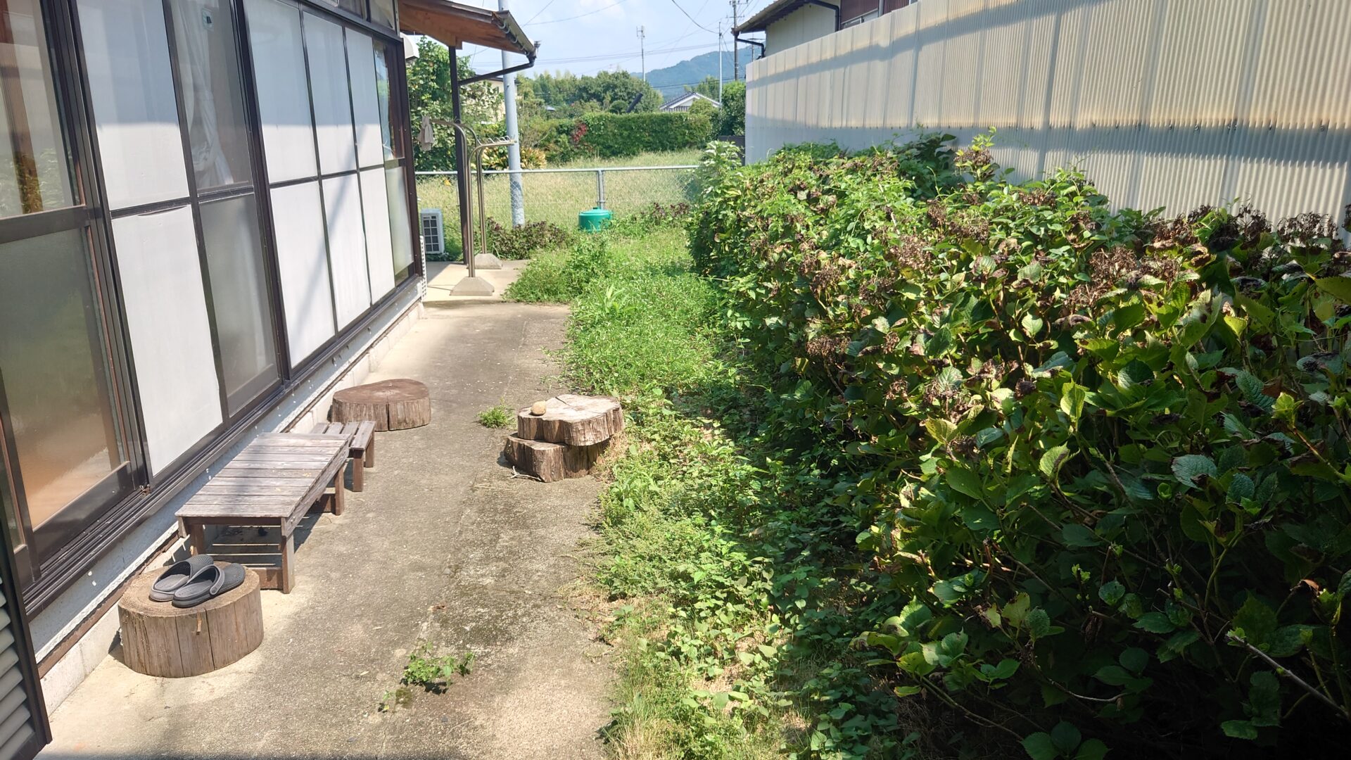 庭