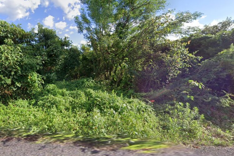 出水市 売土地 西出水町93番土地