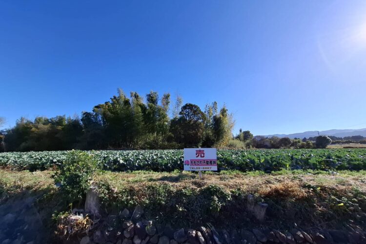 出水市 売土地 高尾野町唐笠木1141番1他3筆